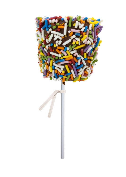 Giant Marshmallow Pops Rainbow Sprinkle - Bulk