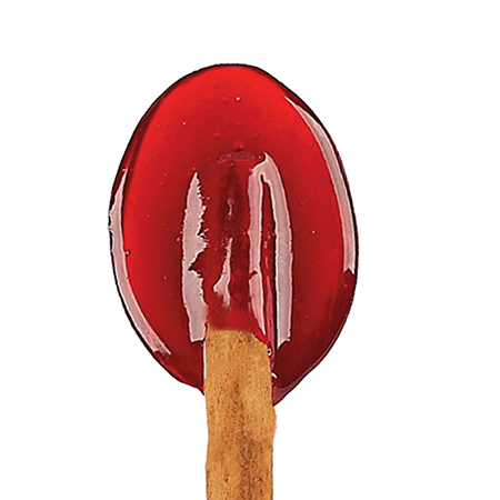 Apple Mulling Spice Cinnamon Spoons