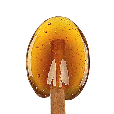 Cinnamon Stick Honey Spoons
