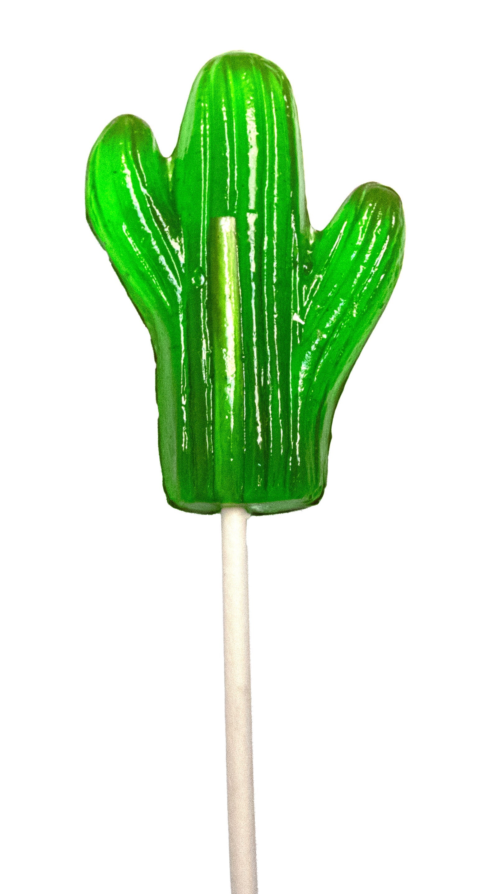 Cactus Lollipop