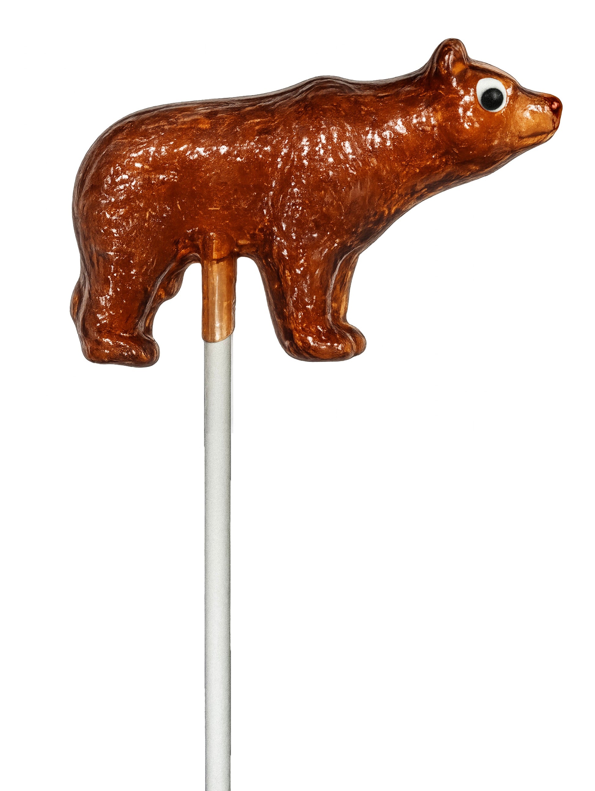 American Grizzly Bear Lollipop