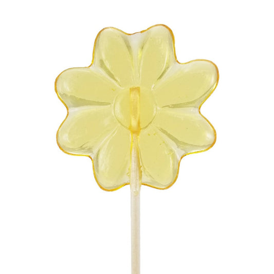 Honey Dippers & Stirrers - Bulk 30ct - Daisy Clover