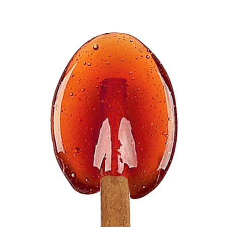 Pumpkin Spice Cinnamon Spoons