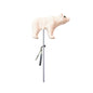 Polar Bear Lollipops